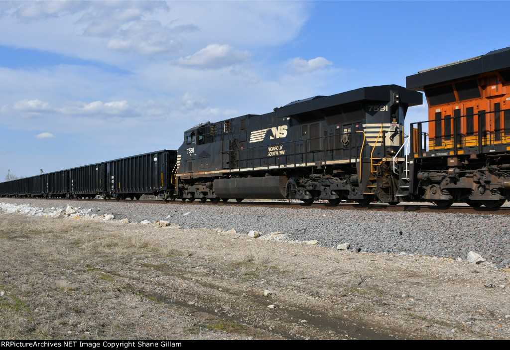 NS 7591 Roster shot.